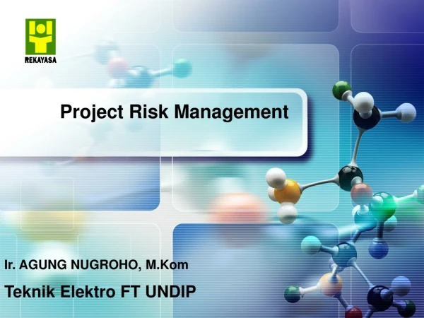 Project Risk Management