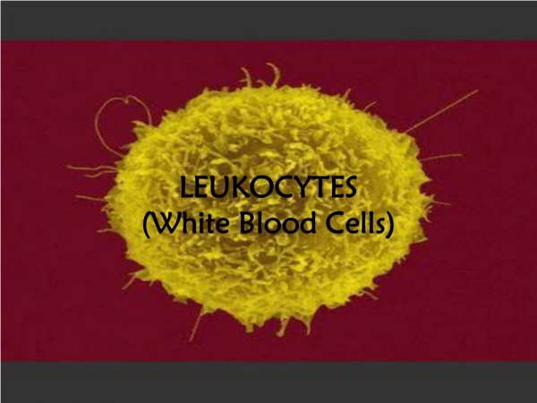 LEUKOCYTES (White Blood Cells)