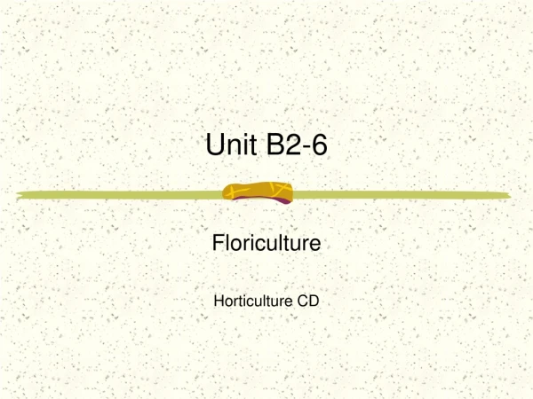 Unit B2-6