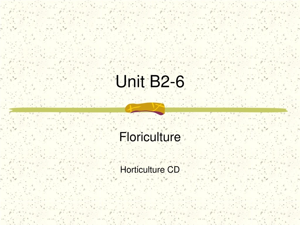 unit b2 6
