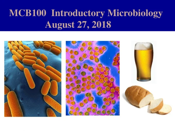 MCB100  Introductory Microbiology                   August 27, 2018