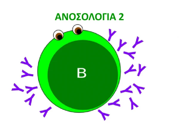 ΑΝΟΣΟΛΟΓΙΑ 2