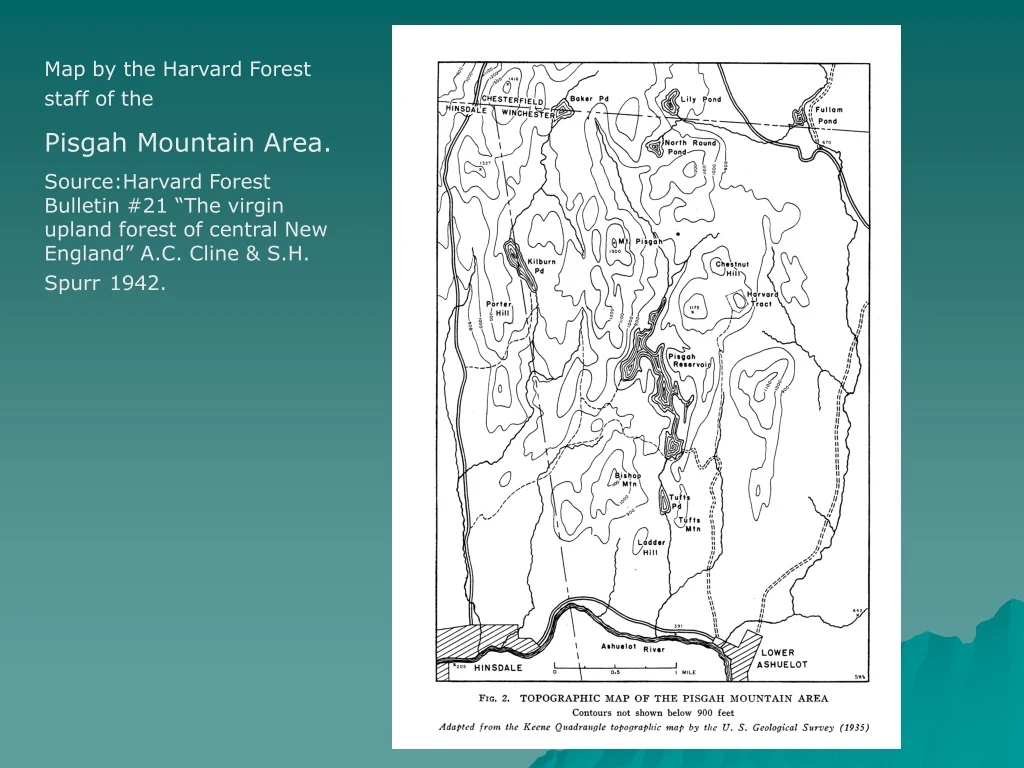 map by the harvard forest staff of the pisgah