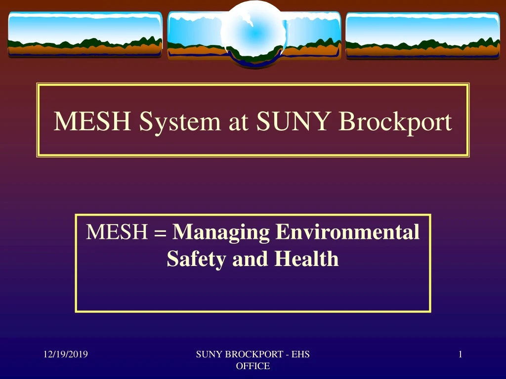 mesh system at suny brockport