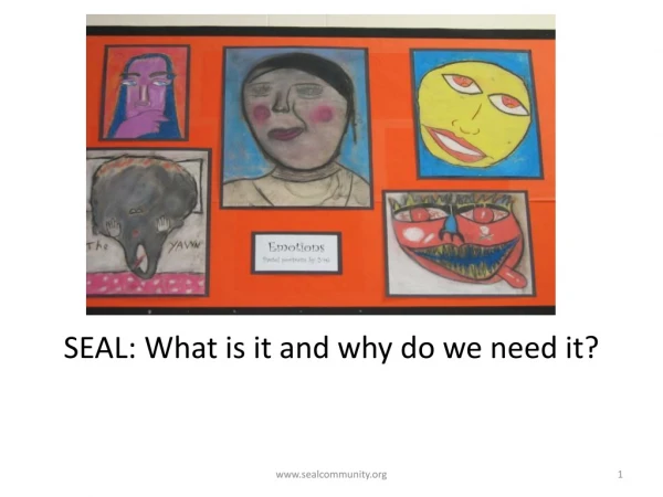 SEAL: What is it and why do we need it?