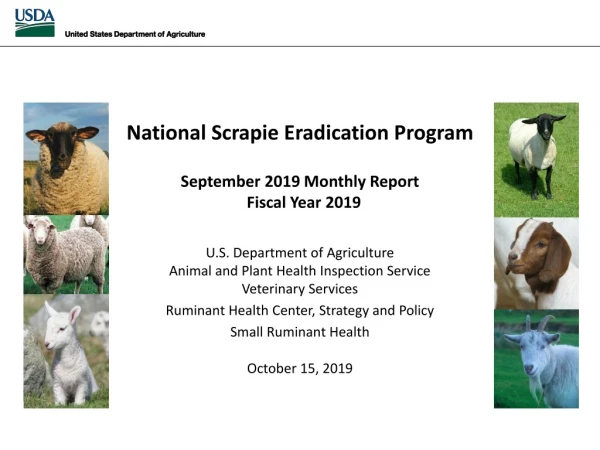 National Scrapie Eradication Program September 2019  Monthly Report   Fiscal Year  2019