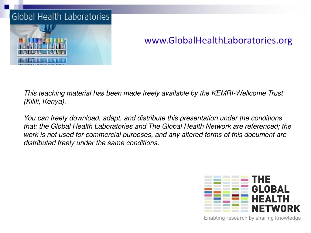 www globalhealthlaboratories org