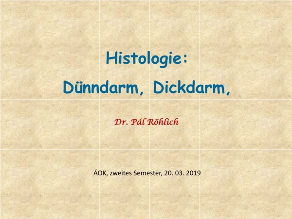 Histologie : Dünndarm ,  Dickdarm ,
