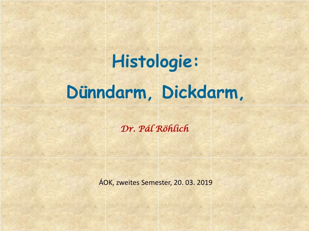 histologie d nndarm dickdarm