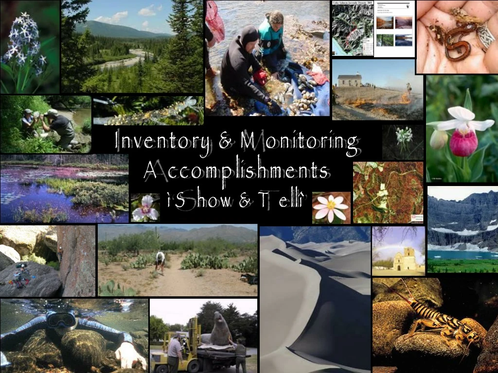 inventory monitoring accomplishments