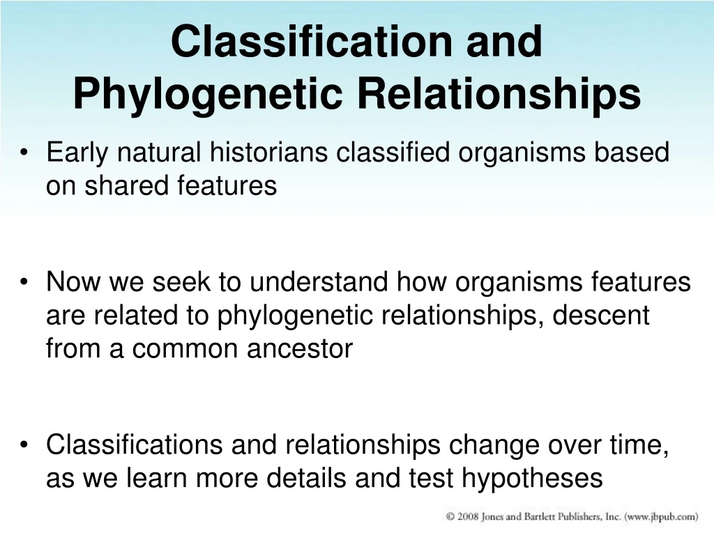 classification and phylogenetic relationships