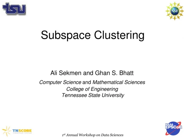 Subspace Clustering