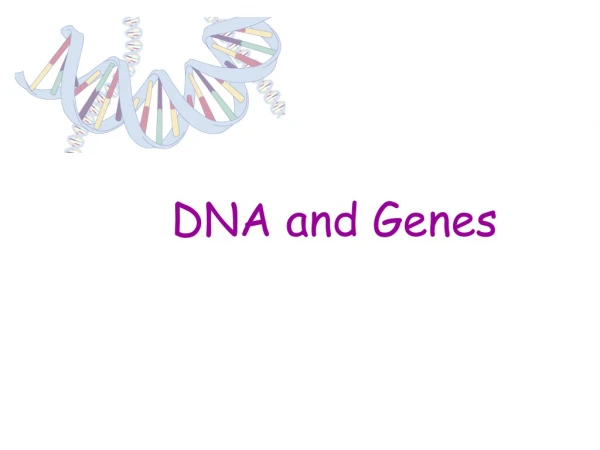 DNA and Genes