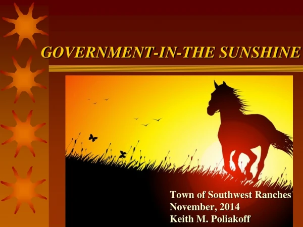 GOVERNMENT-IN-THE SUNSHINE