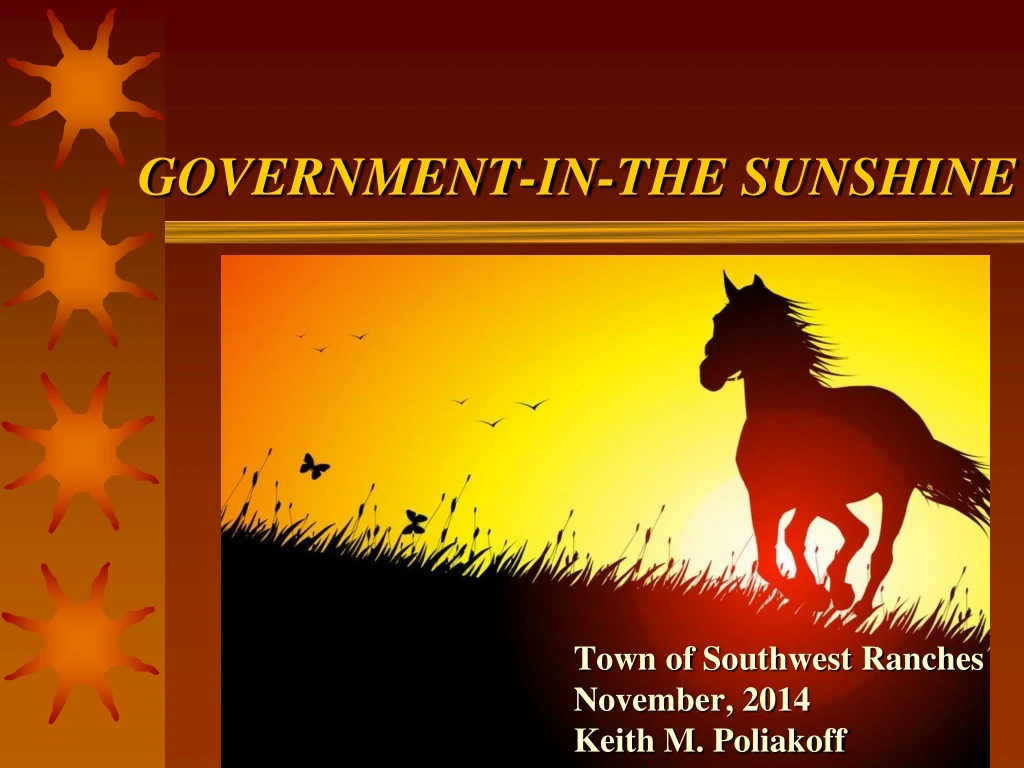 government in the sunshine