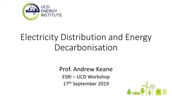 Electricity Distribution and Energy Decarbonisation