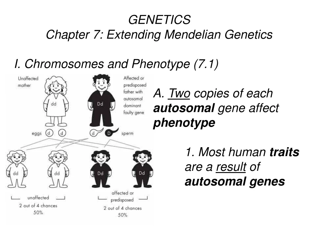 genetics chapter 7 extending mendelian genetics