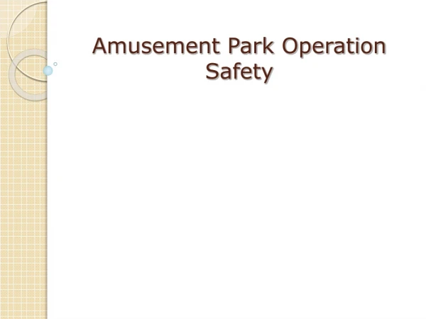 Amusement Park Operation Safety