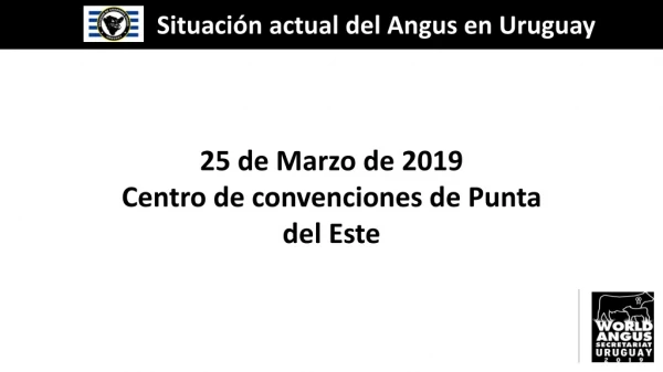 Situación actual del Angus en Uruguay