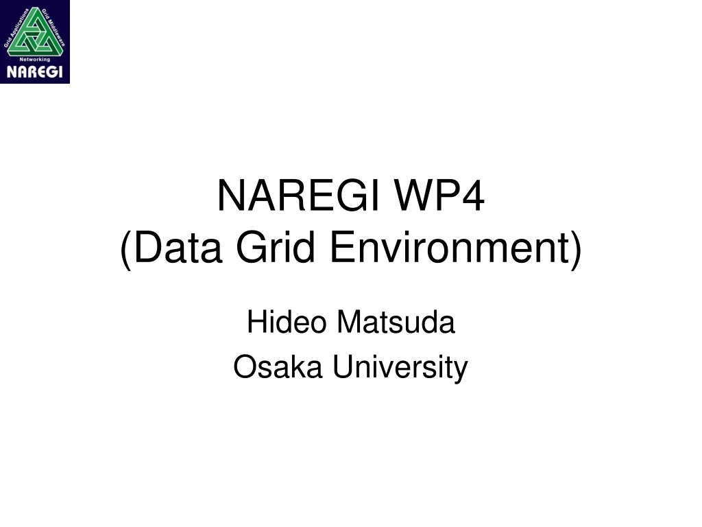 naregi wp4 data grid environment