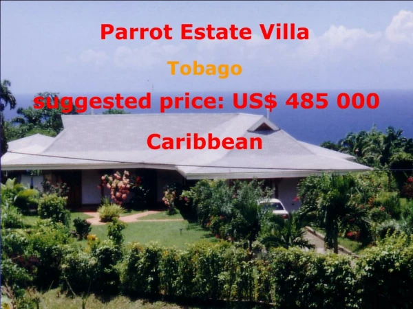 Parrot Estate Villa