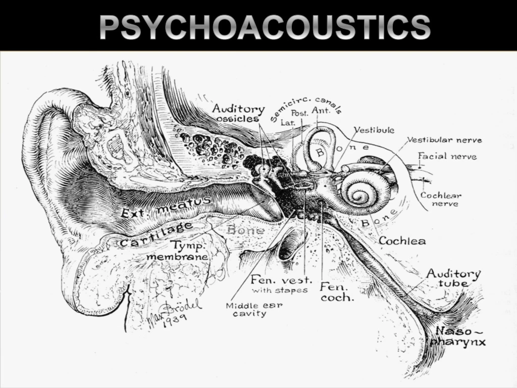 psychoacoustics