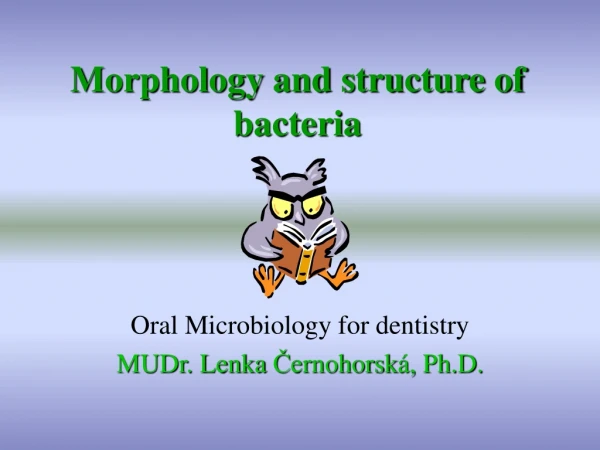 Morphology and structure of bacteria