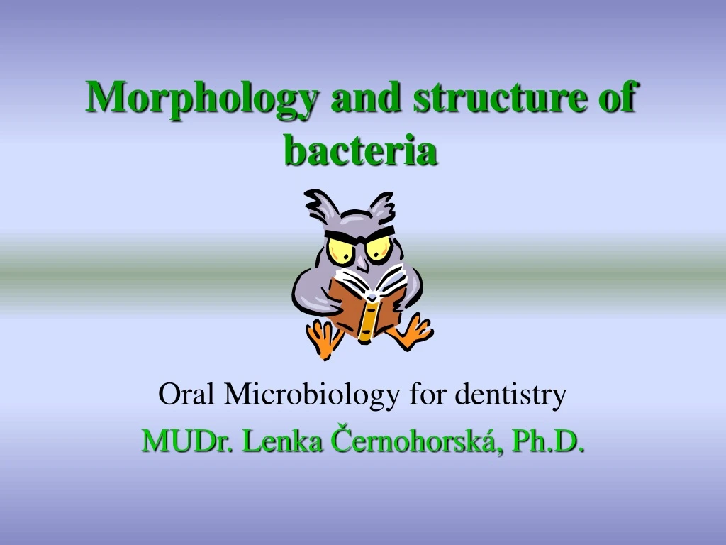 morphology and structure of bacteria