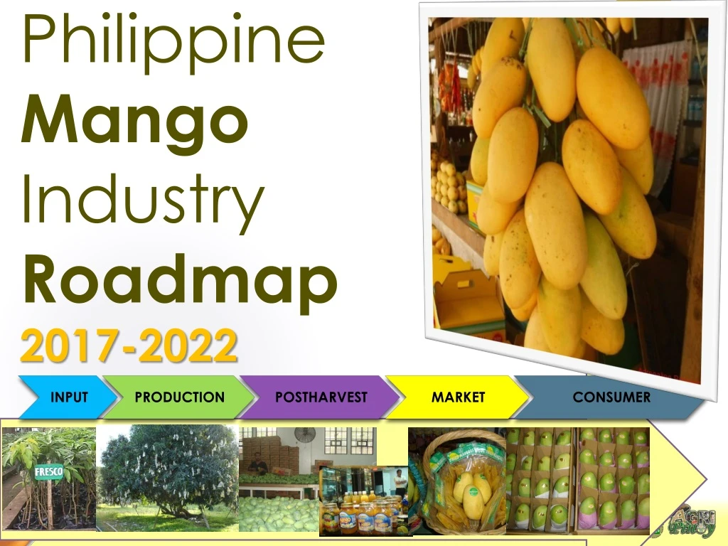 philippine mango industry roadmap 2017 2022