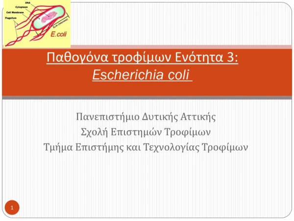 Παθογόνα τροφίμων Ενότητα 3:  Escherichia coli