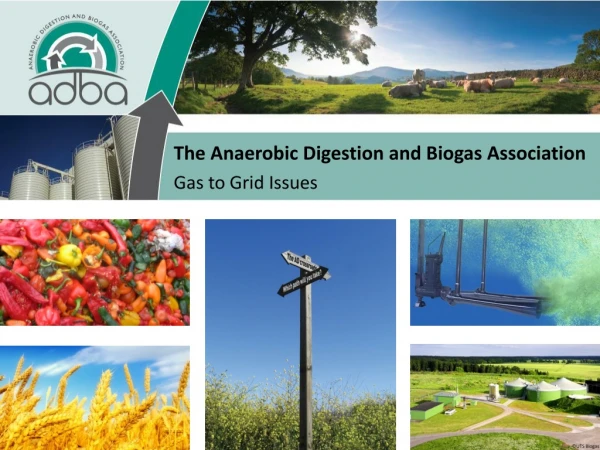 The Anaerobic Digestion and Biogas Association Gas to Grid Issues