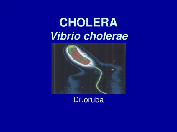 CHOLERA Vibrio cholerae