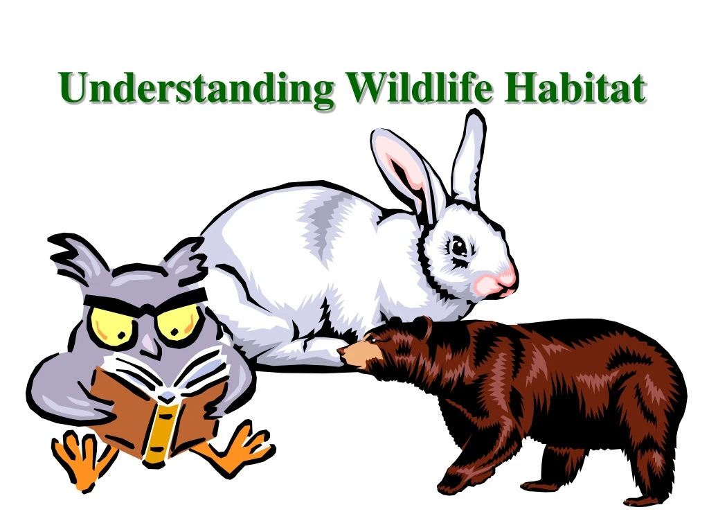 understanding wildlife habitat