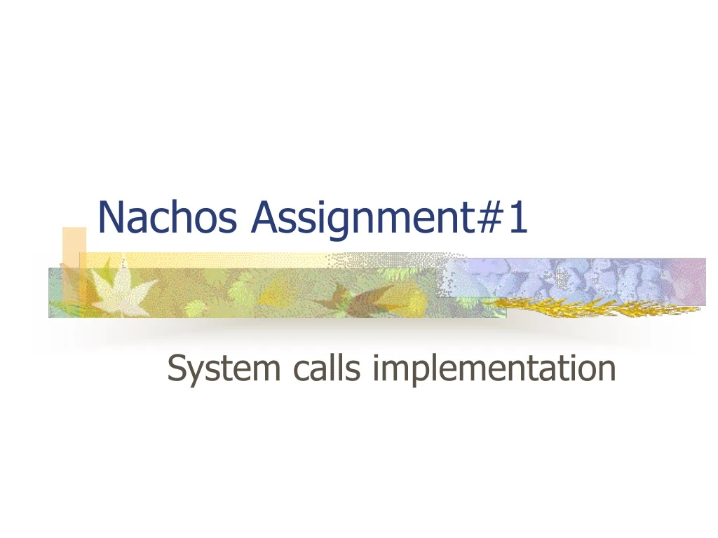 nachos assignment 1
