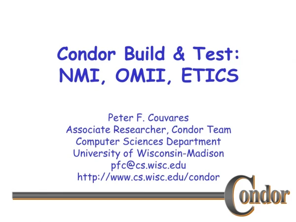 Condor Build &amp; Test: NMI, OMII, ETICS