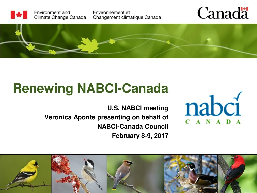 renewing nabci canada