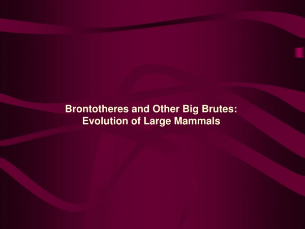 Brontotheres and Other Big Brutes:  Evolution of Large Mammals
