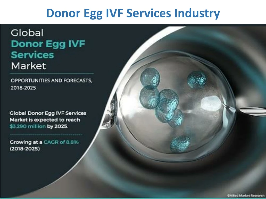donor egg ivf services industry
