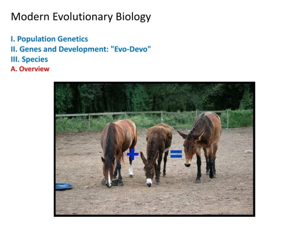 Modern Evolutionary Biology  I. Population Genetics II. Genes and Development: &quot;Evo-Devo&quot;