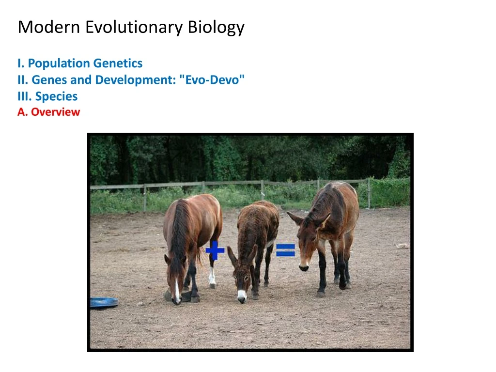 modern evolutionary biology i population genetics