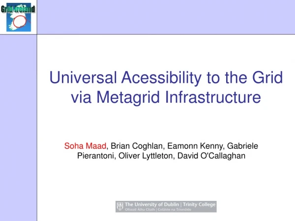 Universal Acessibility to the Grid via Metagrid Infrastructure