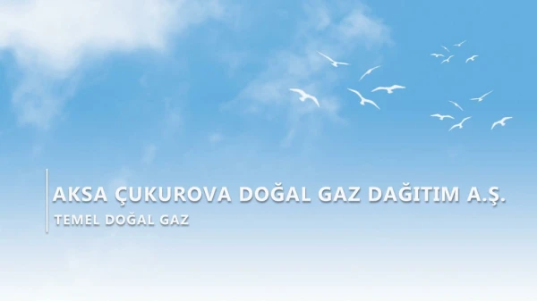 AKSA ÇUKUROVA DOĞAL GAZ DAĞITIM A.Ş.