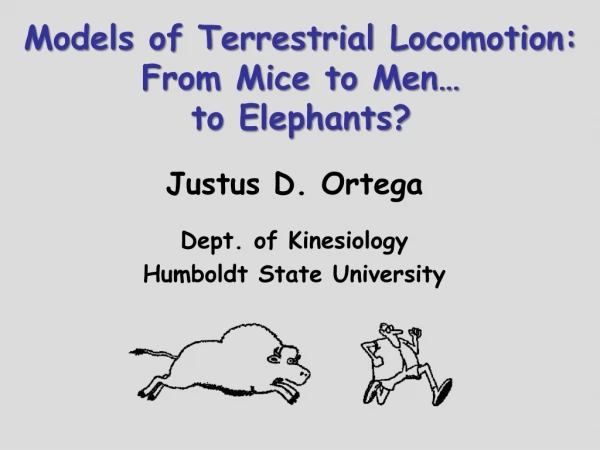 Models of Terrestrial Locomotion: From Mice to Men… to Elephants?