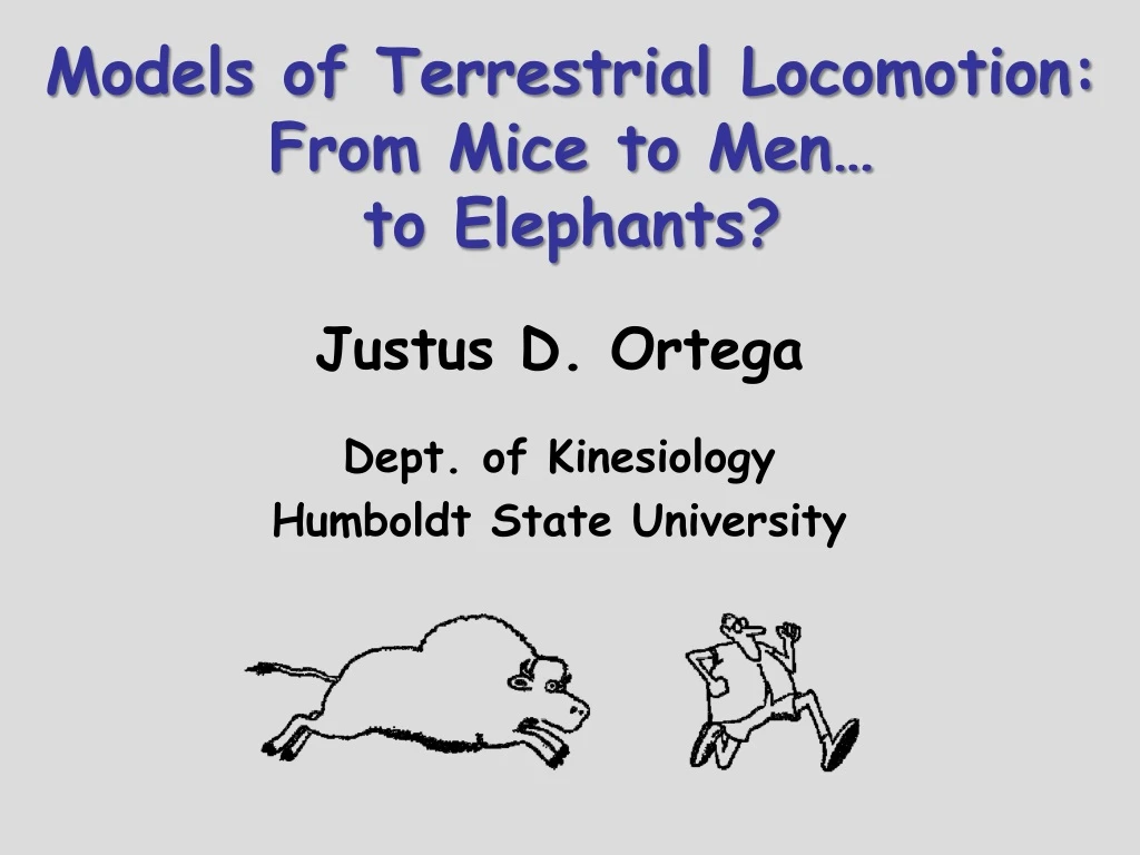 models of terrestrial locomotion from mice to men to elephants