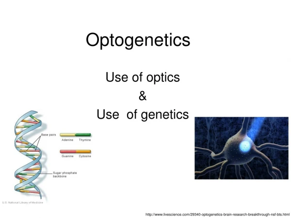 Optogenetics