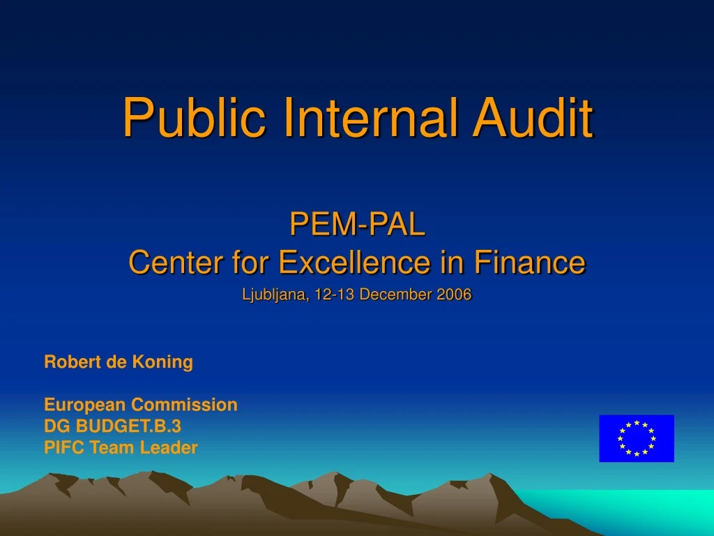 public internal audit