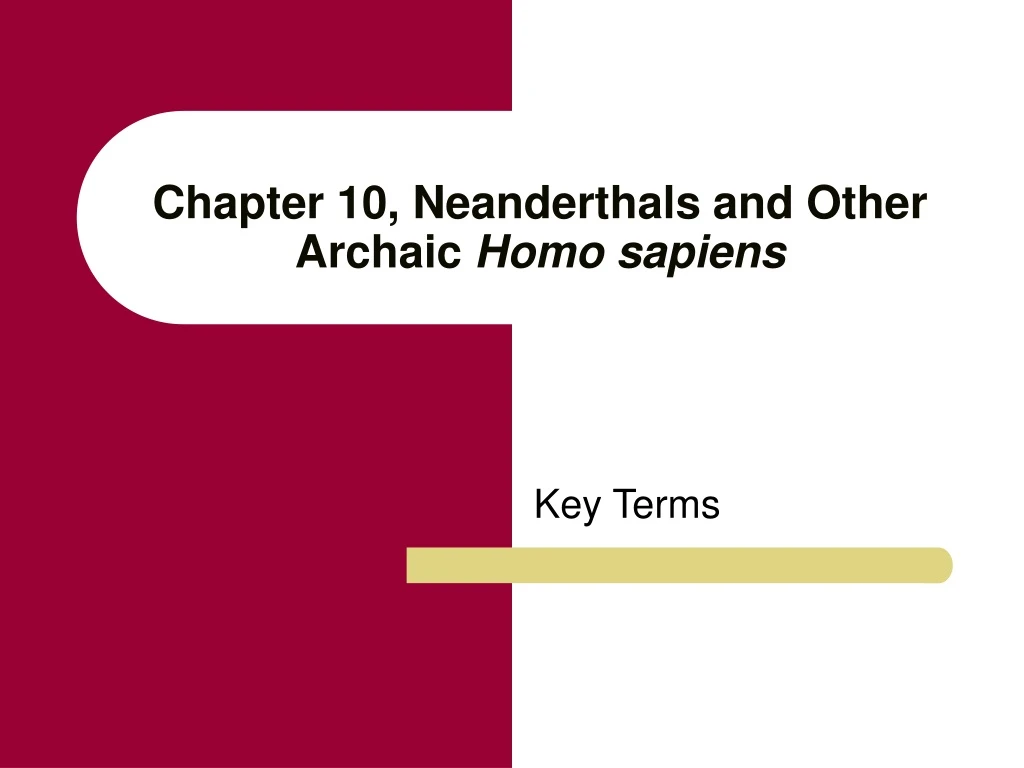 chapter 10 neanderthals and other archaic homo sapiens