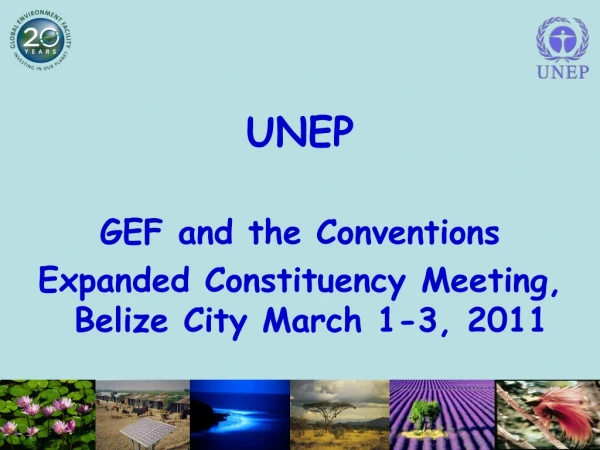 UNEP GEF and the Conventions Expanded Constituency Meeting, Belize City March 1-3, 2011