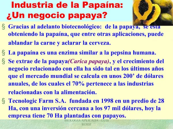 Industria de la Papa na: Un negocio papaya