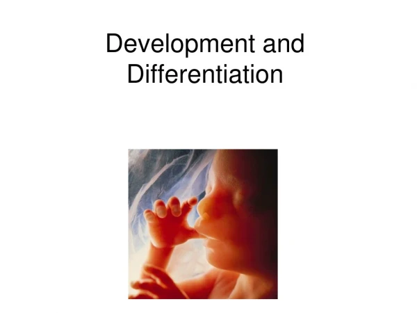 Development and Differentiation